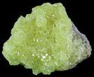 Lemon Yellow Sulfur Crystal Cluster - Bolivia #51580-2